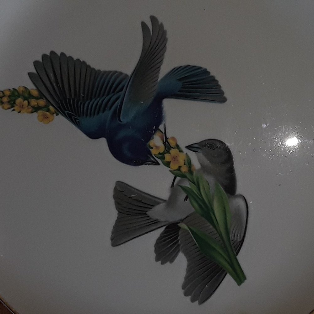 American Song Birds Plate (Collectors Item)